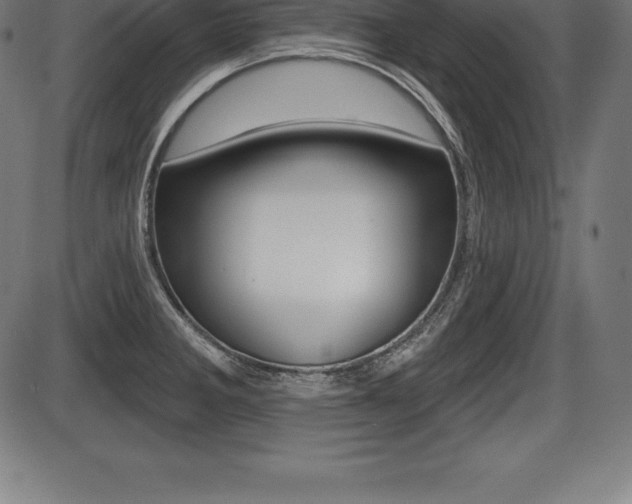 X0000087631285200705030718