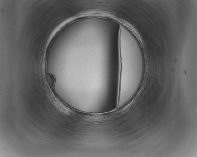 X0000087631288200705030718