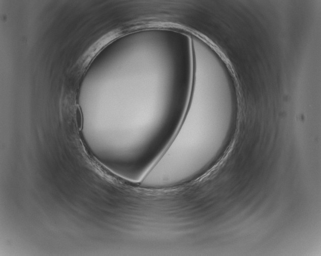 X0000087631289200705030718