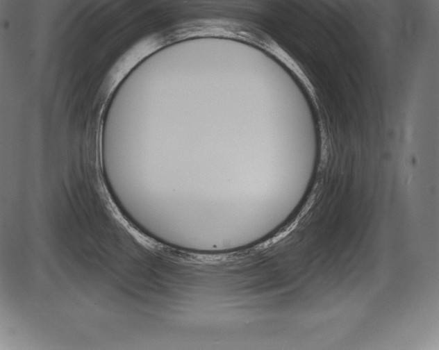 X0000087631290200705030718