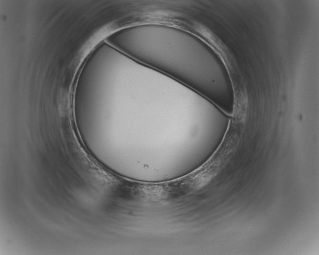 X0000087631291200705030718