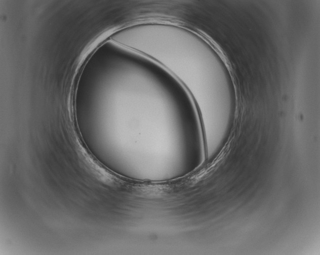 X0000087631293200705030718