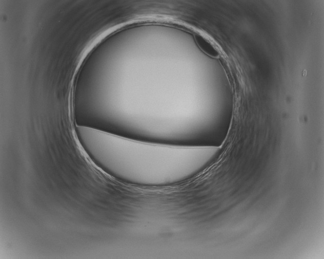 X0000087631295200705030718