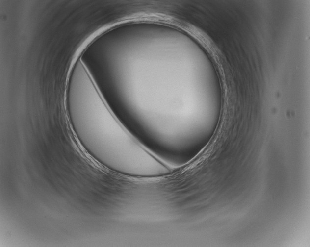 X0000087631296200705030718