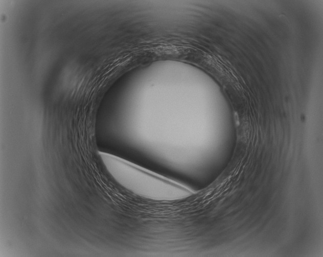 X0000087631297200705030717