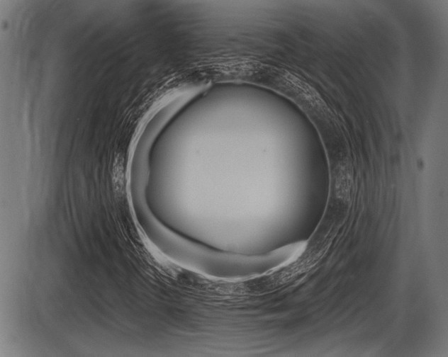X0000087631298200705030717
