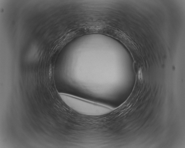 X0000087631299200705030717