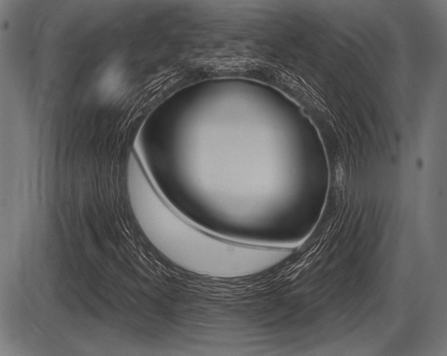 X0000087631300200705030717