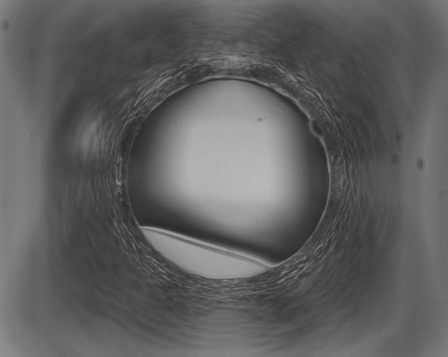 X0000087631301200705030717