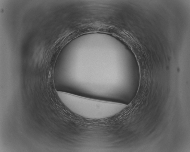 X0000087631302200705030717