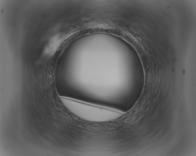 X0000087631303200705030717