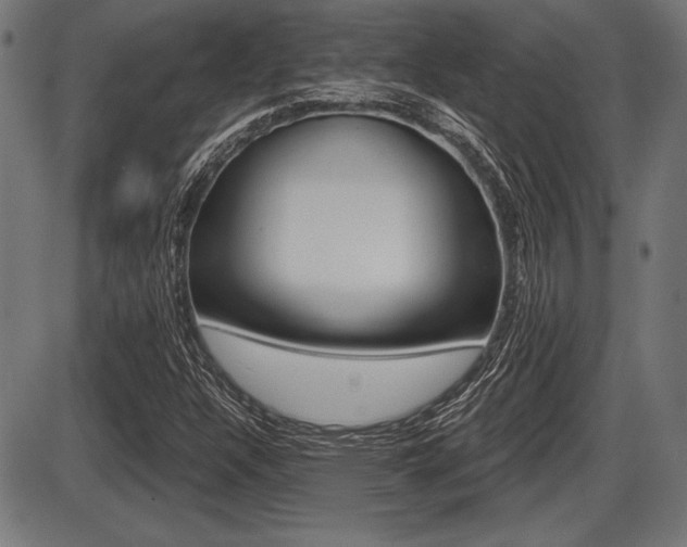 X0000087631304200705030717