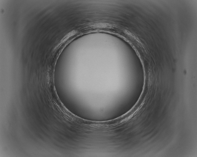 X0000087631305200705030717