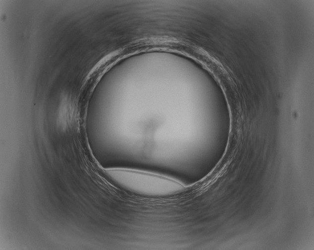 X0000087631306200705030717