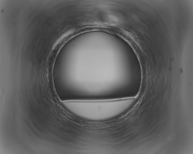 X0000087631307200705030717