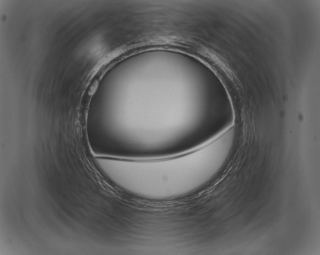 X0000087631308200705030717