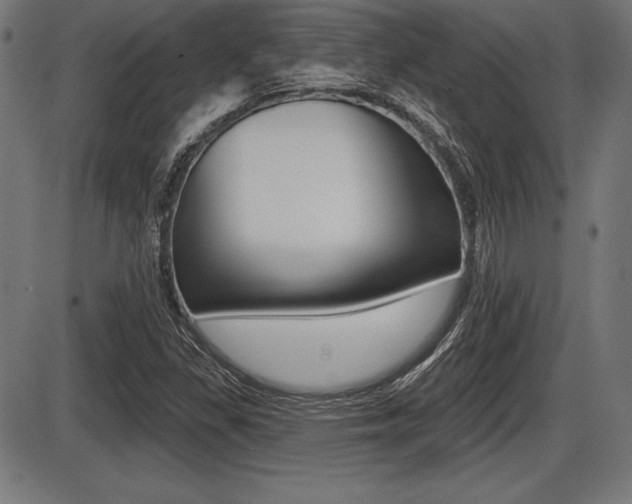 X0000087631309200705030717