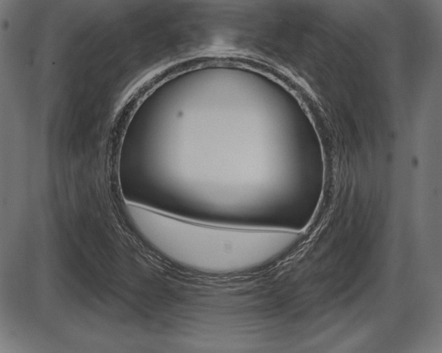 X0000087631311200705030717