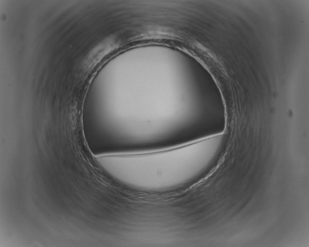 X0000087631313200705030717