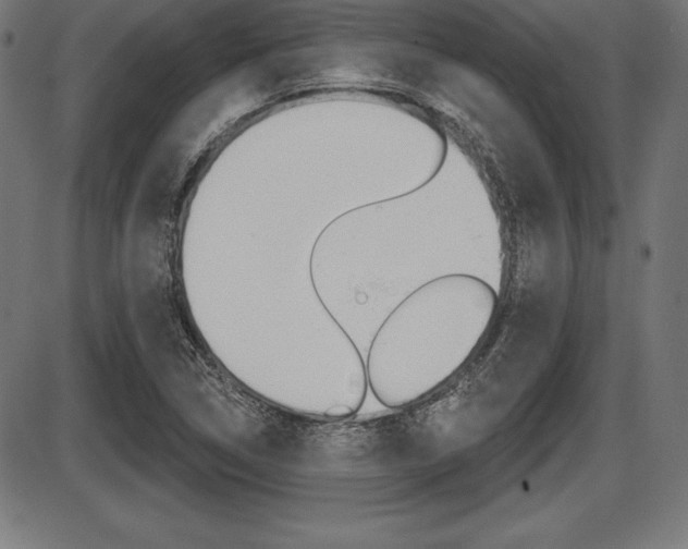 X0000087631314200705030717