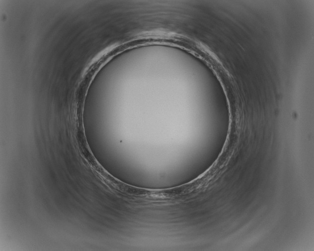 X0000087631315200705030717