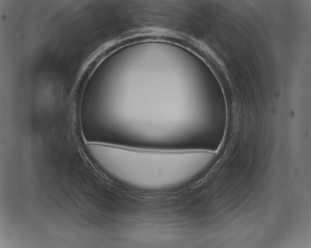 X0000087631318200705030717