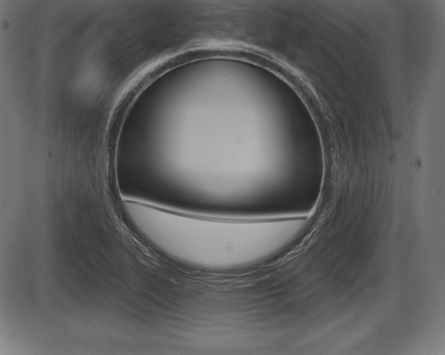 X0000087631319200705030717