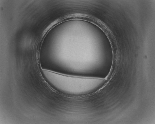 X0000087631321200705030717