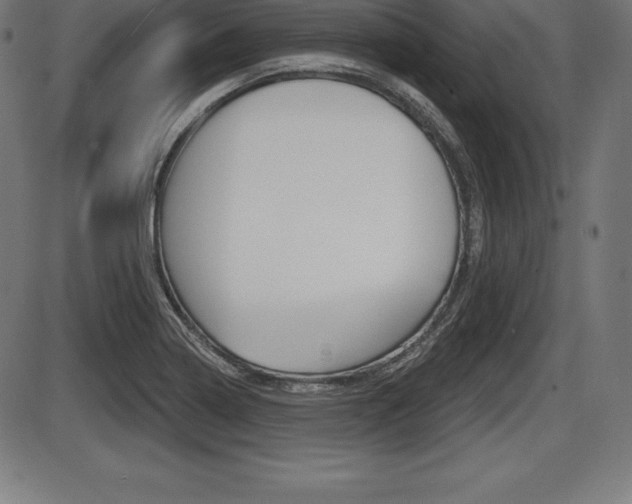 X0000087631322200705030717