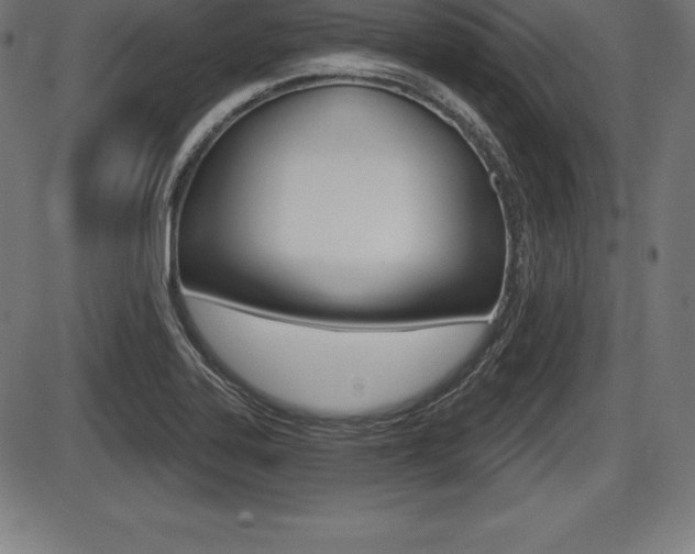 X0000087631323200705030717