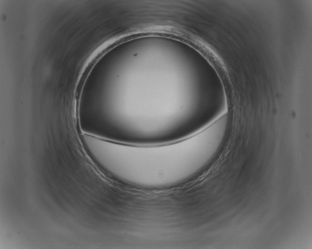 X0000087631324200705030717