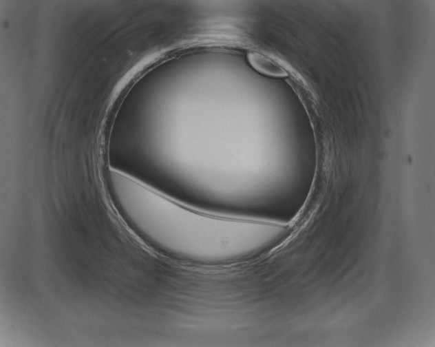 X0000087631325200705030717