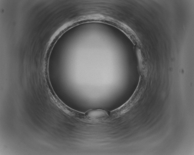 X0000087631326200705030717