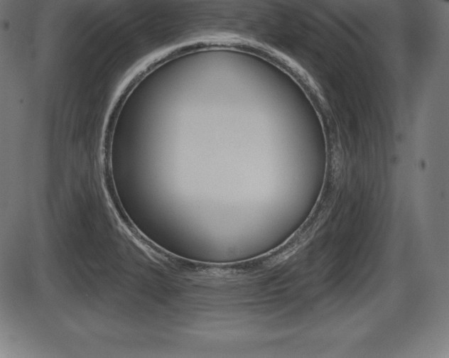 X0000087631327200705030717