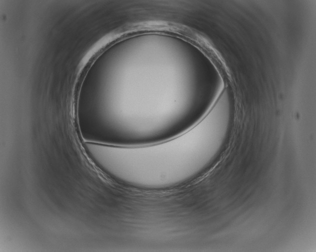X0000087631328200705030717