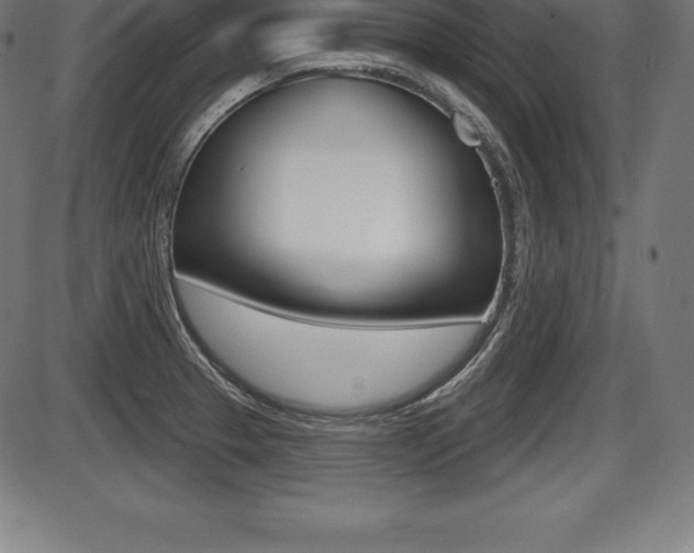 X0000087631329200705030717