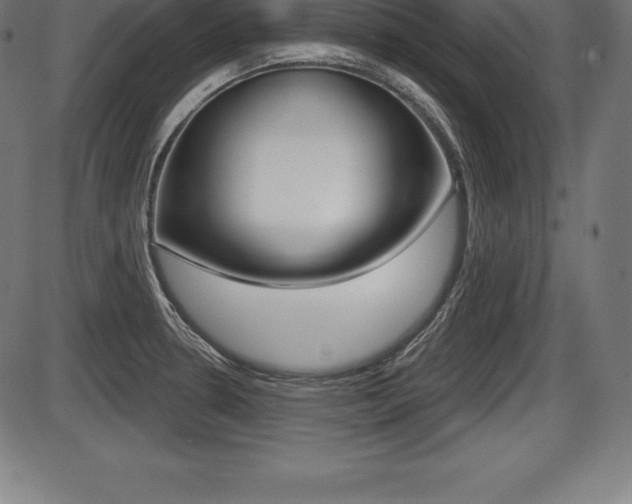 X0000087631330200705030717