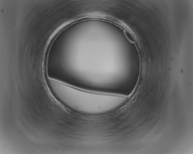 X0000087631331200705030717