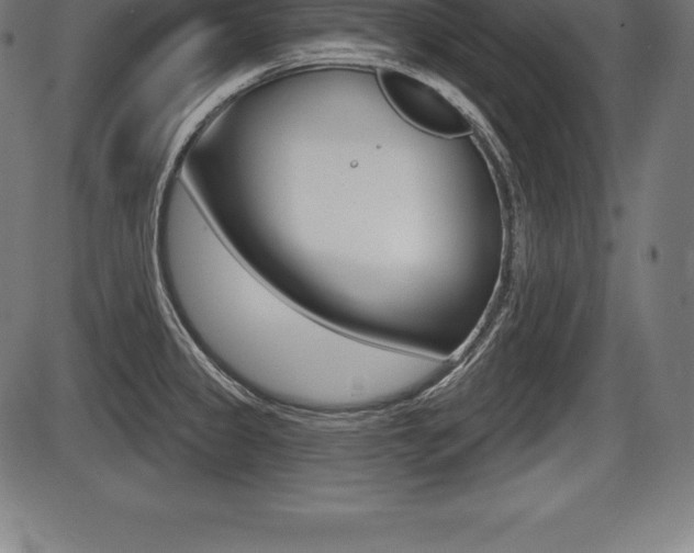X0000087631333200705030717