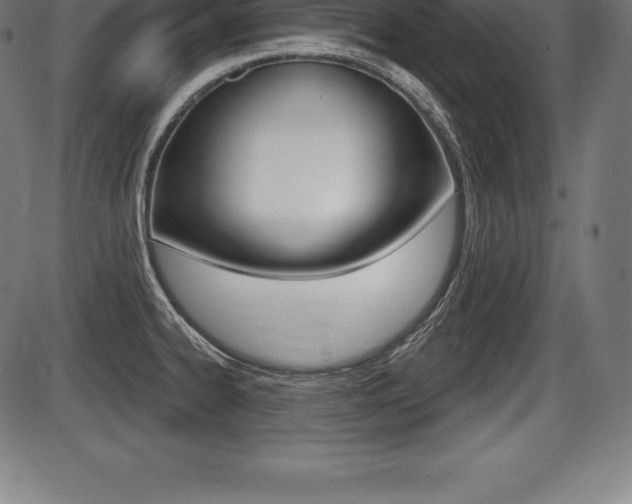 X0000087631334200705030717