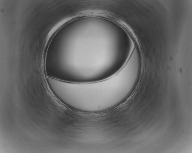 X0000087631336200705030718