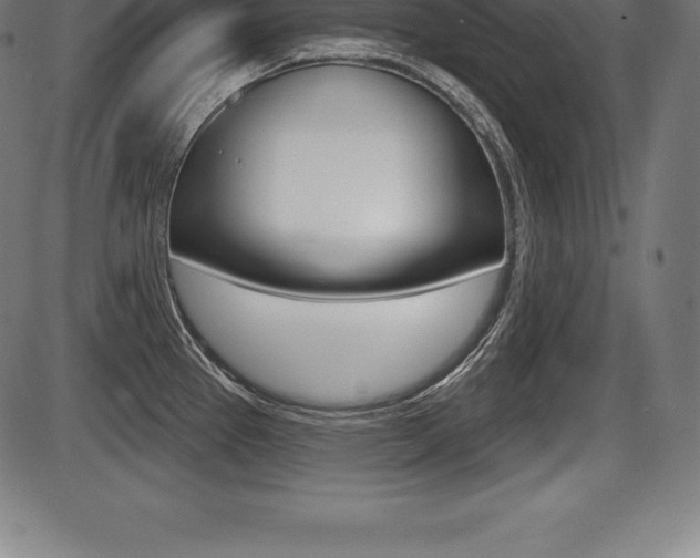 X0000087631337200705030718