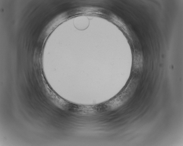 X0000087631338200705030718