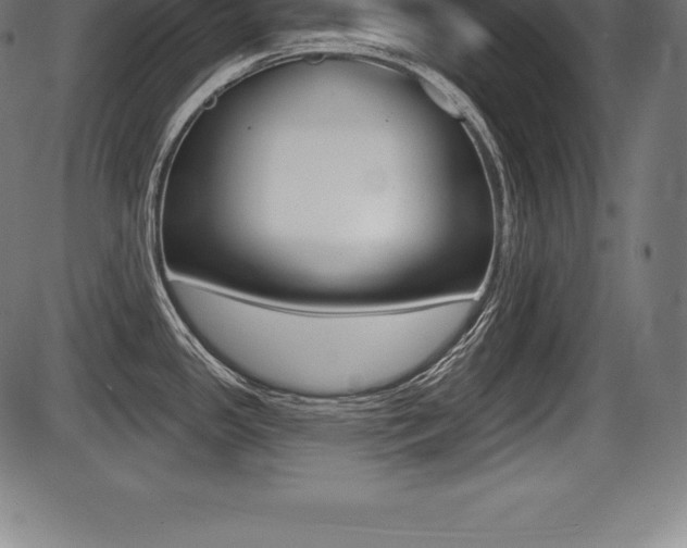 X0000087631341200705030718