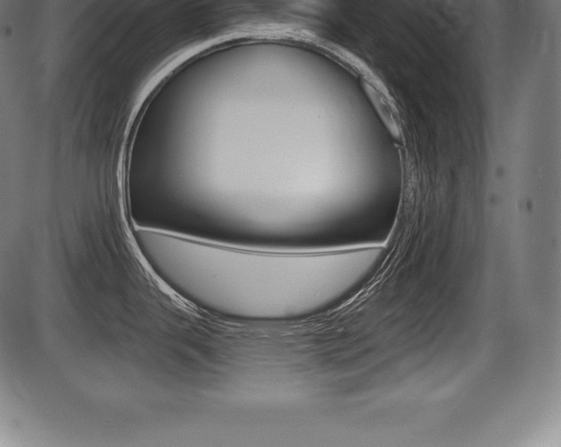 X0000087631343200705030718