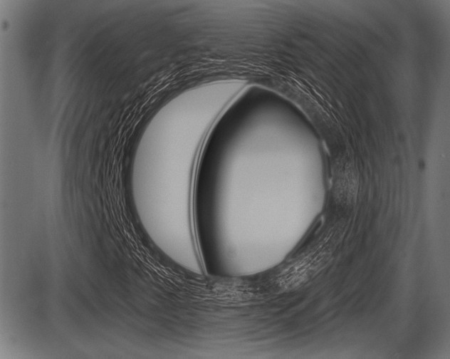 X0000087631345200705030717