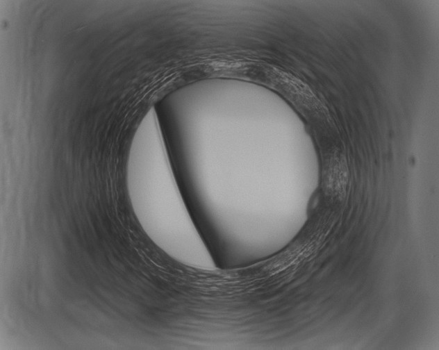 X0000087631346200705030717