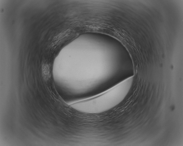 X0000087631347200705030717