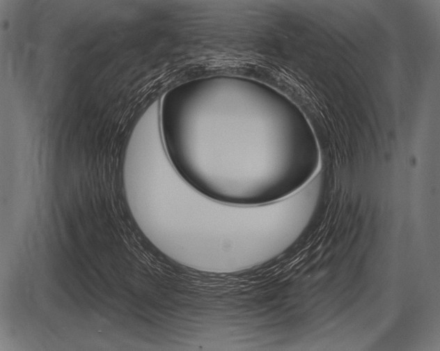 X0000087631348200705030717