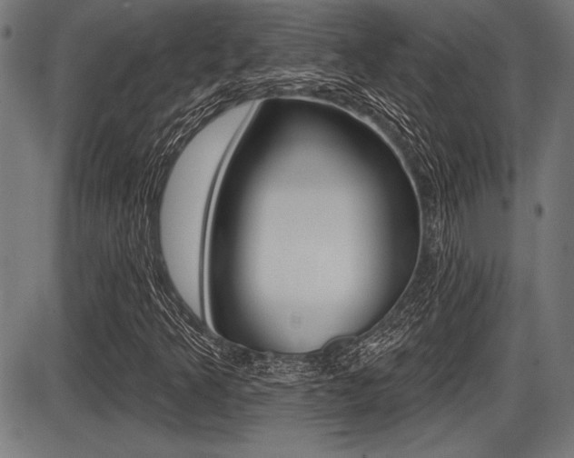X0000087631349200705030717